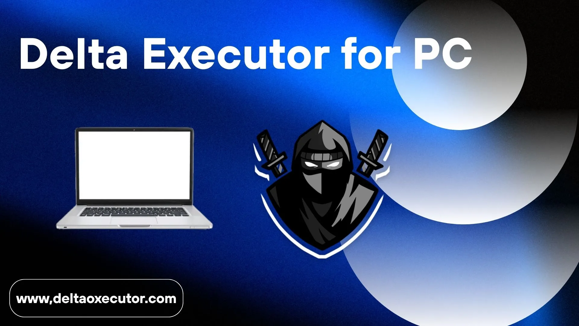 Delta Executor for PC